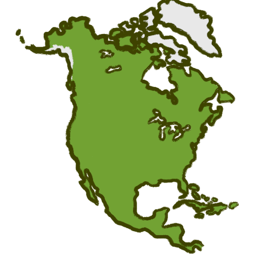 a green shape of the continent known as North America, some details in the northern area are white